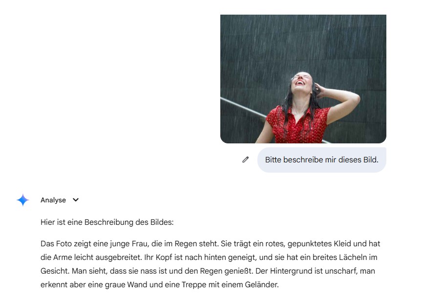 Kann Gemini Bilder verstehen?